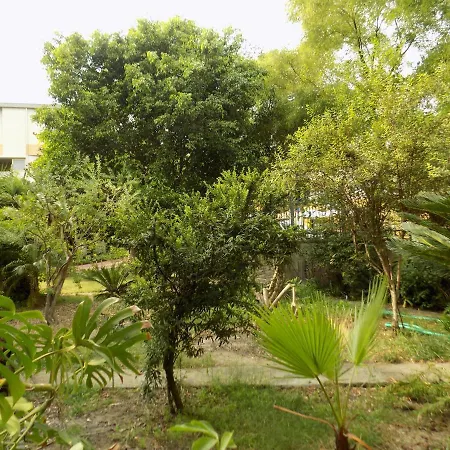 Bed & Breakfast La Magnolia *